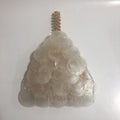 Fashion Round Shell Woven Triangle Handbag 8BW6BBG422T