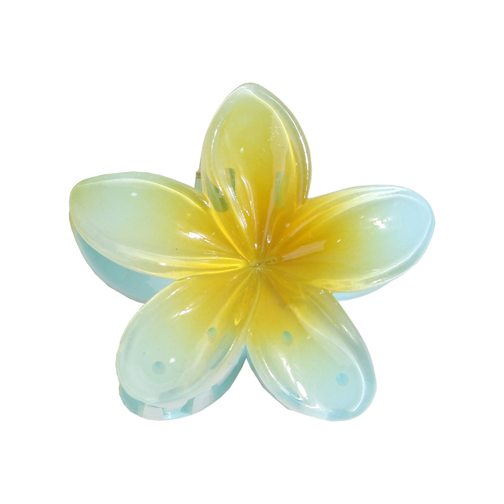 Vintage Colorful Flower Hair Claw Clip DP25B954