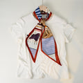 Simple Color Block Striped Print Silk Scarf 6W6NSI258