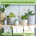 Mini Indoor Plant Crystal Suncatcher 6H7HLS227