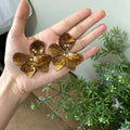 Exaggerated 3D Acetate Floral Stud Earring 6W6JER586