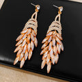 Vintage Droplet Rhinestones Tassel Drop Earrings 6W6JER800