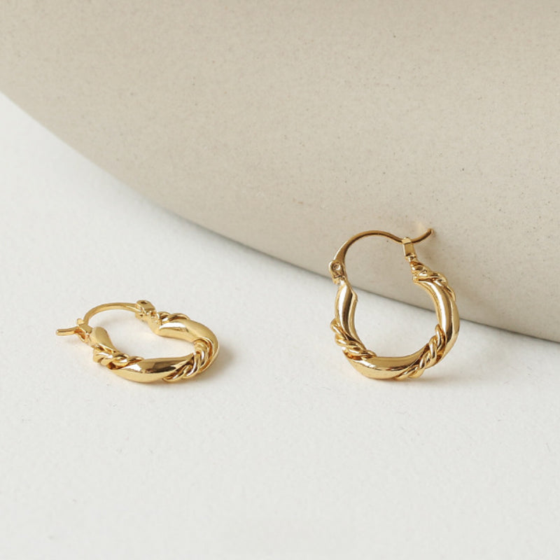 Simple Cool Elegant Twisted Hoop Earrings DPJE1853